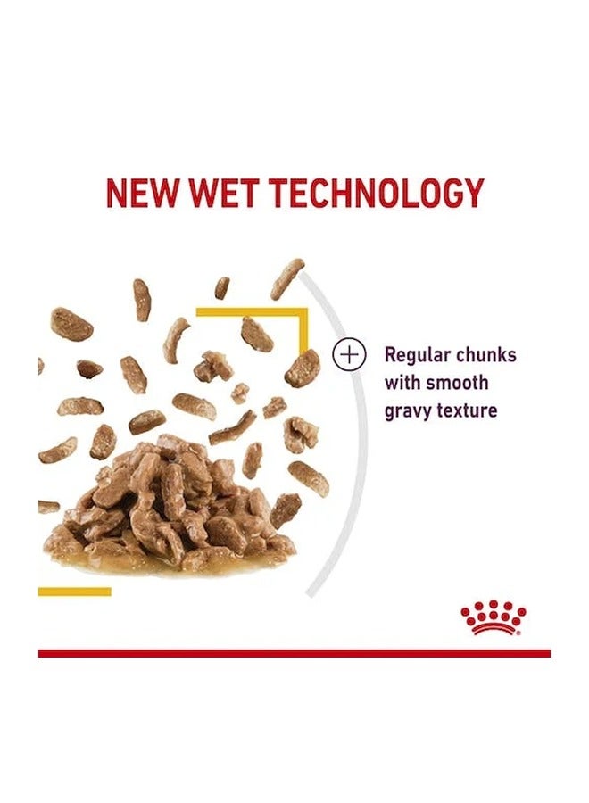 رويال كانين طعام القطط الرطب بنكهة المرق الحسي - 85 غرام - Image 3